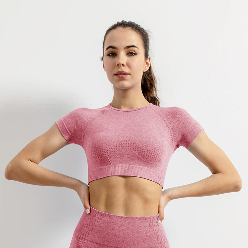 Seamless Gym Crop Top